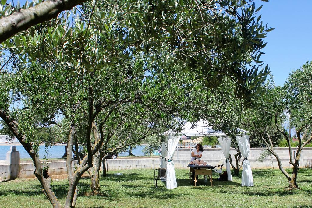 Holiday House Zaton Nin Exteriör bild